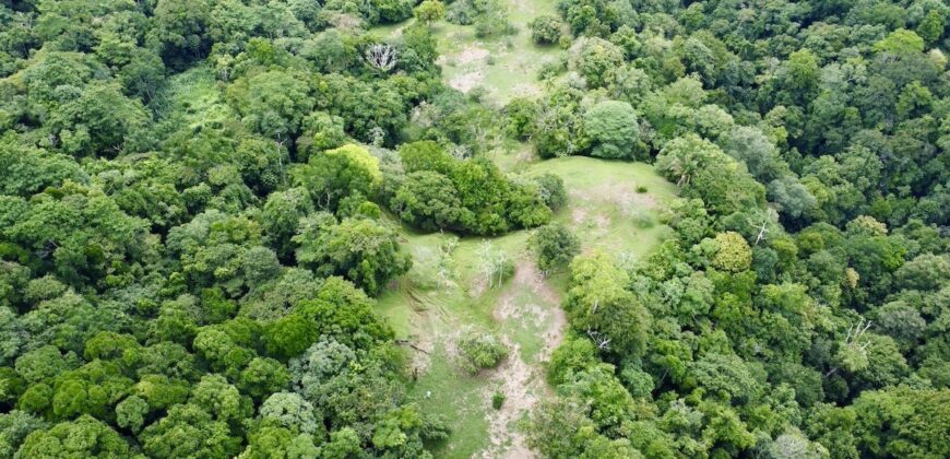 High Elevation Rainforest and Ocean View Property