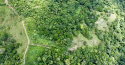 High Elevation Rainforest and Ocean View Property