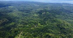 High Elevation Rainforest and Ocean View Property