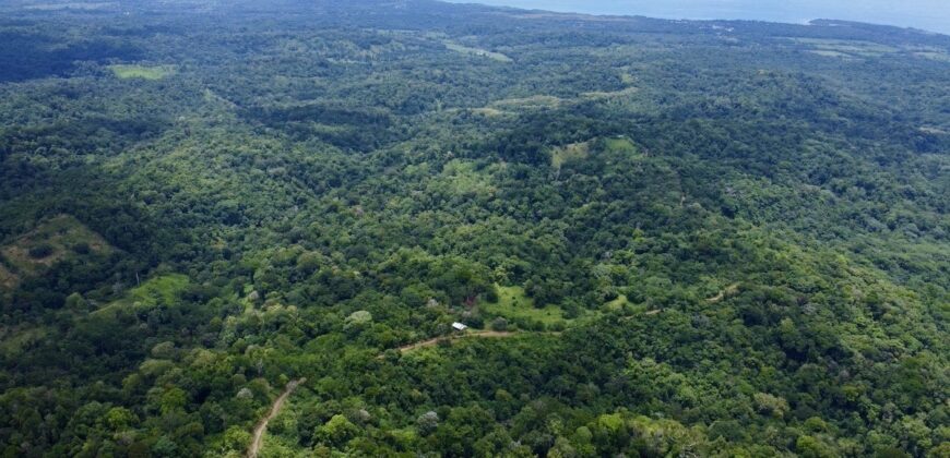 High Elevation Rainforest and Ocean View Property