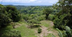 High Elevation Rainforest and Ocean View Property