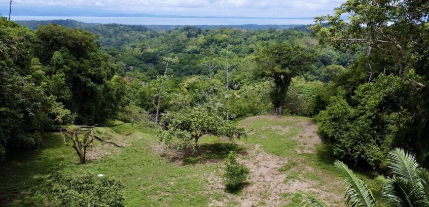 High Elevation Rainforest and Ocean View Property