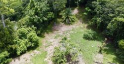 High Elevation Rainforest and Ocean View Property