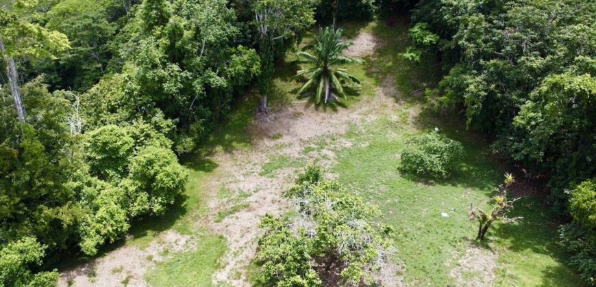 High Elevation Rainforest and Ocean View Property