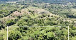 12 Acres of Rainforest Near Town and Nice Community