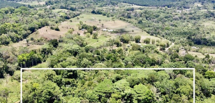 12 Acres of Rainforest Near Town and Nice Community