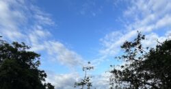 High Elevation Rainforest and Ocean View Property