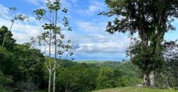 High Elevation Rainforest and Ocean View Property