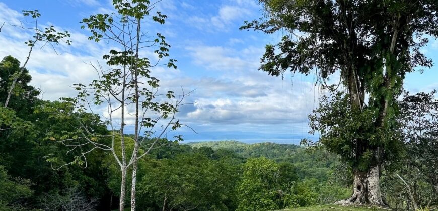 High Elevation Rainforest and Ocean View Property