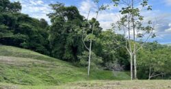 High Elevation Rainforest and Ocean View Property