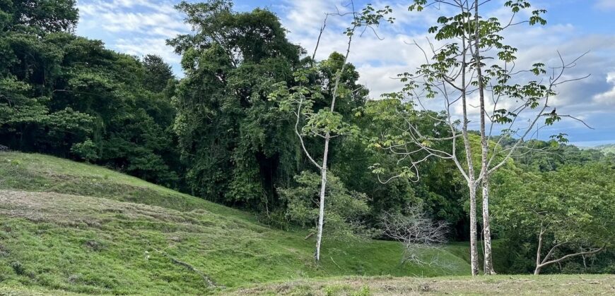 High Elevation Rainforest and Ocean View Property