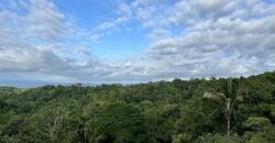 High Elevation Rainforest and Ocean View Property