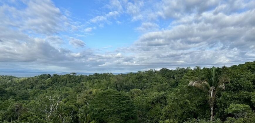High Elevation Rainforest and Ocean View Property