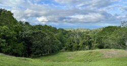 High Elevation Rainforest and Ocean View Property