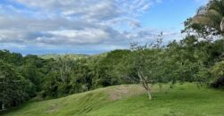 High Elevation Rainforest and Ocean View Property