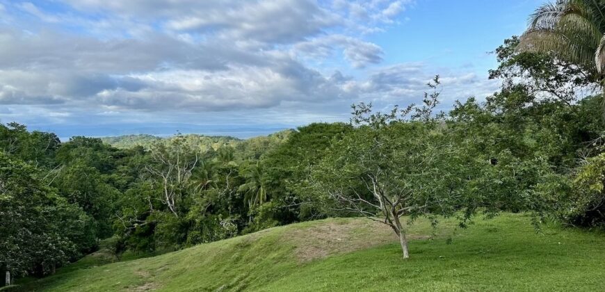 High Elevation Rainforest and Ocean View Property