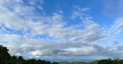 High Elevation Rainforest and Ocean View Property