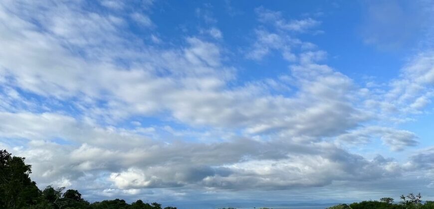 High Elevation Rainforest and Ocean View Property