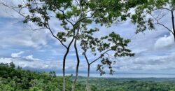 High Elevation Rainforest and Ocean View Property