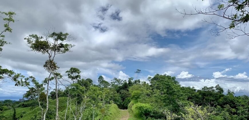 High Elevation Rainforest and Ocean View Property
