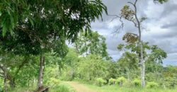 High Elevation Rainforest and Ocean View Property