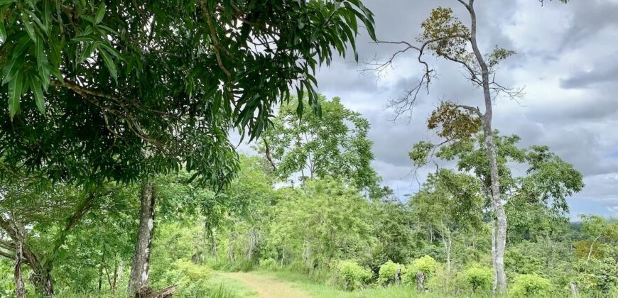 High Elevation Rainforest and Ocean View Property