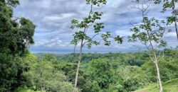 High Elevation Rainforest and Ocean View Property