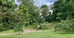 High Elevation Rainforest and Ocean View Property
