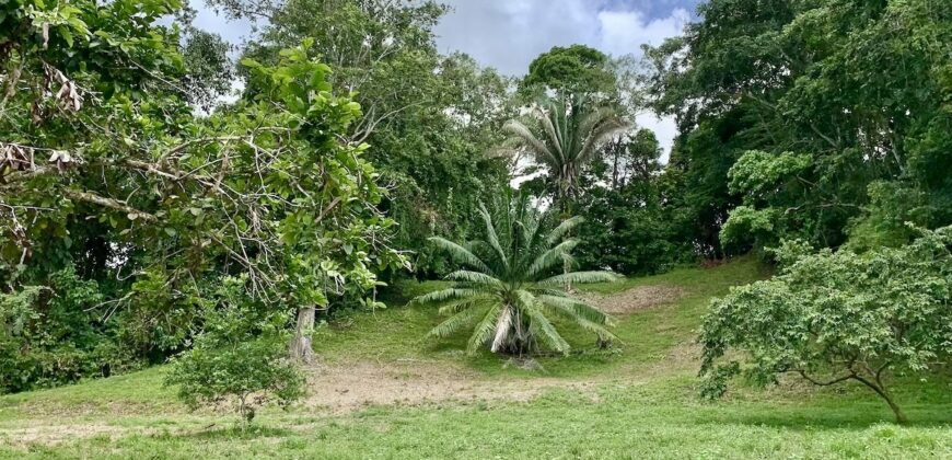 High Elevation Rainforest and Ocean View Property