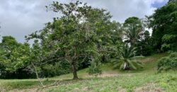 High Elevation Rainforest and Ocean View Property