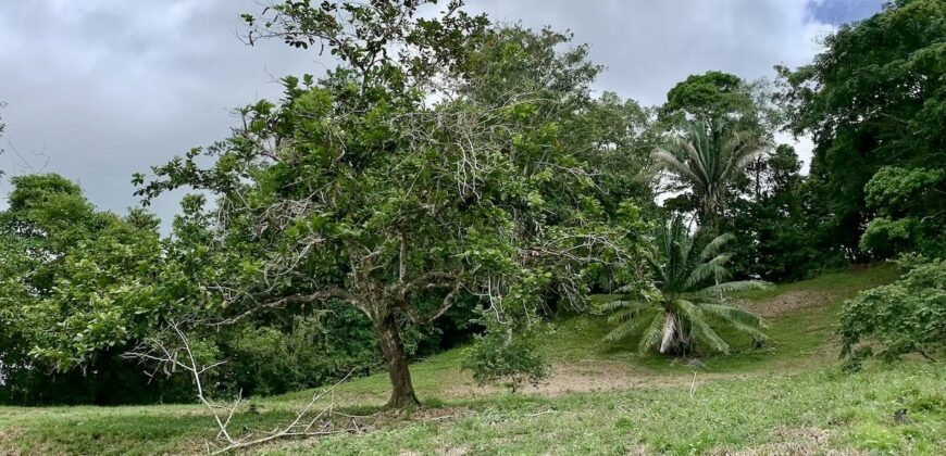High Elevation Rainforest and Ocean View Property