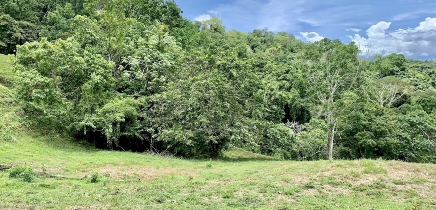 High Elevation Rainforest and Ocean View Property