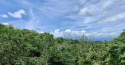 High Elevation Rainforest and Ocean View Property
