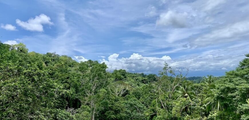 High Elevation Rainforest and Ocean View Property