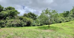 High Elevation Rainforest and Ocean View Property