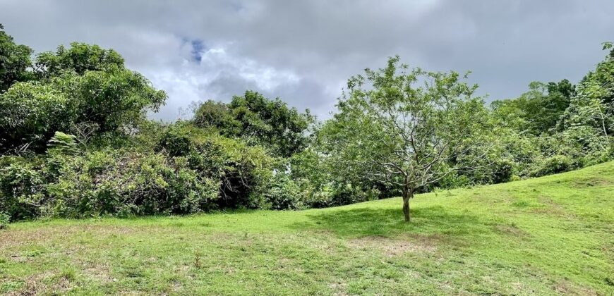 High Elevation Rainforest and Ocean View Property