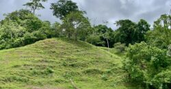 High Elevation Rainforest and Ocean View Property