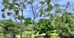 High Elevation Rainforest and Ocean View Property