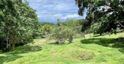 High Elevation Rainforest and Ocean View Property