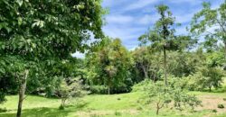 High Elevation Rainforest and Ocean View Property