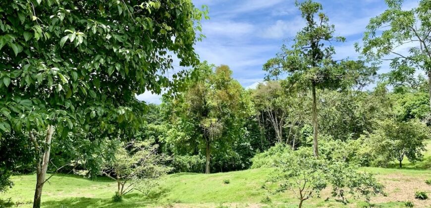 High Elevation Rainforest and Ocean View Property