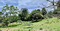 High Elevation Rainforest and Ocean View Property