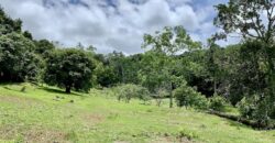 High Elevation Rainforest and Ocean View Property