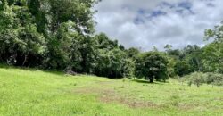 High Elevation Rainforest and Ocean View Property