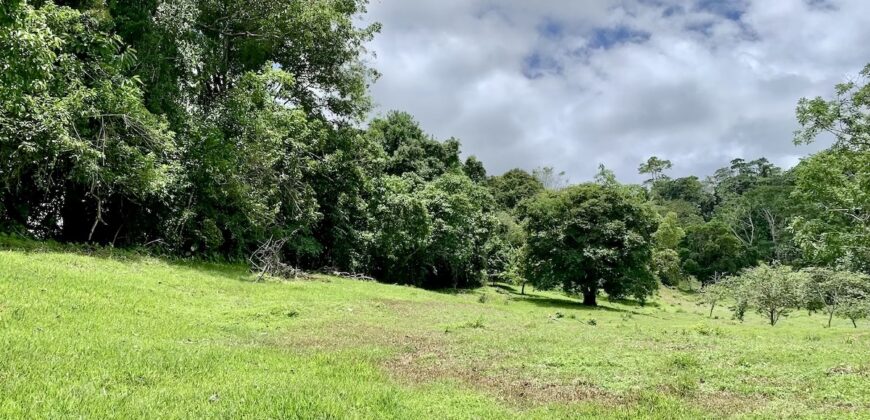 High Elevation Rainforest and Ocean View Property