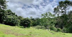 High Elevation Rainforest and Ocean View Property