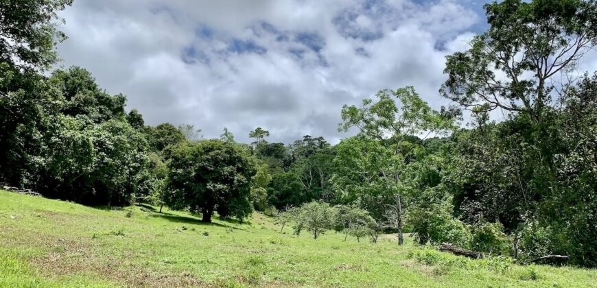 High Elevation Rainforest and Ocean View Property