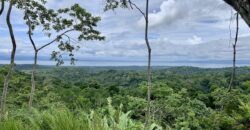 High Elevation Rainforest and Ocean View Property