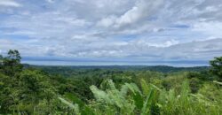 High Elevation Rainforest and Ocean View Property