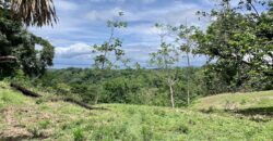 High Elevation Rainforest and Ocean View Property